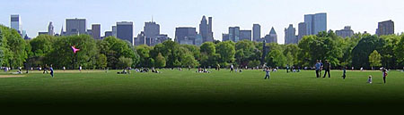 Pohled na Central Park č. 3